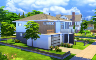 The Sims Masculine Touch House Homeless