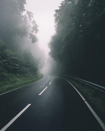 Nature Wallpaper Editing
