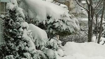 Canadian Winter Scenes Wallpaper