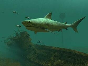 Nature 3d Screensavers Tiger Sharks