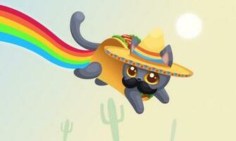 Cute Taco Wallpaper Nyancat By Sally Flower