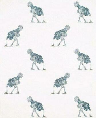 Beware The Moon Ostrich Pencil Bone Wallpaper