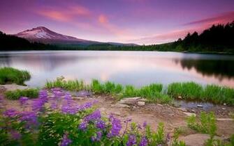 Pro Full HD Wallpaper