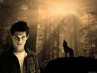 Taylor Lautner High Quality Wallpaper Size Of