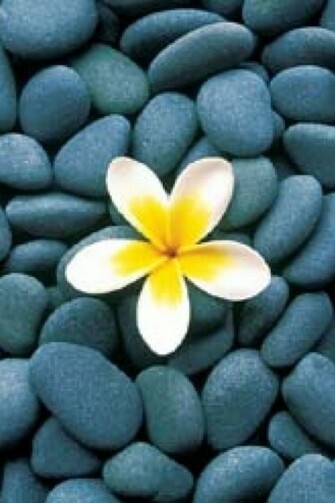 Frangipani iPhone Wallpaper