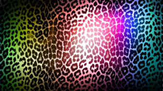 Animal Print Desktop Background Wallpaper
