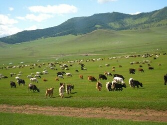 Mongolia Wallpaper