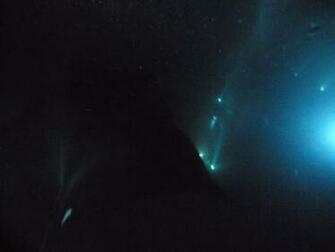 Ocean Floor Wallpaper On