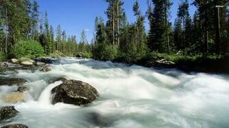 Wallse Idaho Wallpaper