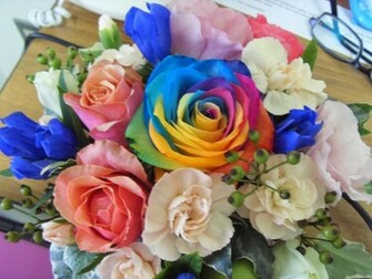 HD Wallpaper U Best Rainbow Flower