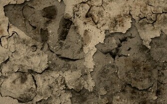 Wasteland Wallpaper By Danotomorrow