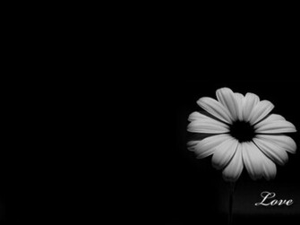 Nice Black Wallpaper Global