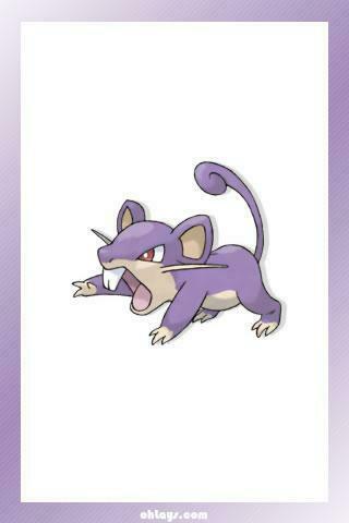 Rattata Wallpaper Pixshark Image Galleries