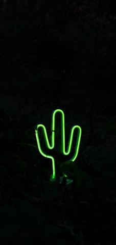 Aesthetic Wallpaper iPhone Neon Signs