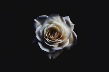 Black Wallpaper HD Hq