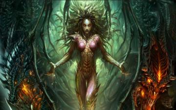 Sarah Kerrigan HD Wallpaper Background Image