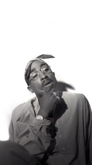 Koko On Wallpaper