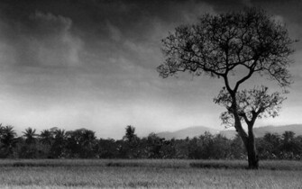 Black And White Desktop Wallpaper Jpg
