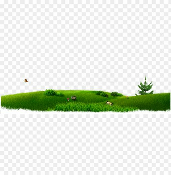 Masha And The Bear House Png Image With Transparent Background