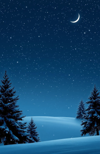 Winter Night Sky Wallpaper