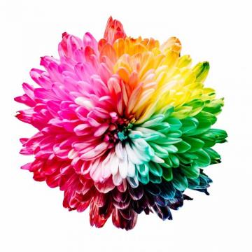 Color Wallpaper HD Hq