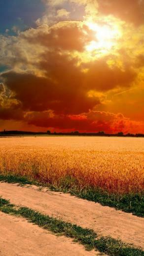 Country Road iPhone Wallpaper