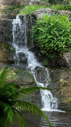 Waterfall Live Wallpaper Android Apps On Google Play
