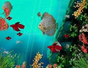 3d Aquarium Wallpaper Desktop Random