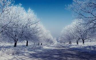 Winter Day Windows