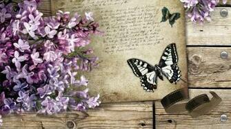 Vintage Butterfly Wallpaper Widescreen HD