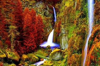 Autumn Red Forest Wallpaper Full Desktop Background