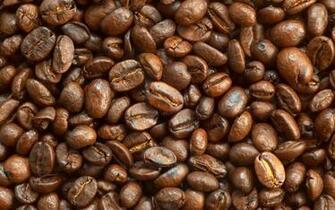 Tags Coffee Pics Bean