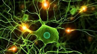 Microbiology Science Wallpaper For Android Apk