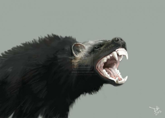 Wolverine By Daveastation