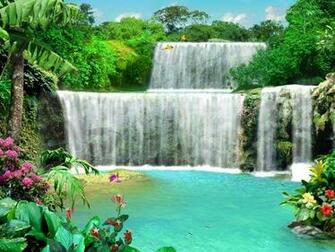 3d Screensaver Marine Living Waterfalls