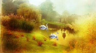 Swan Lake Painting Wallpaper