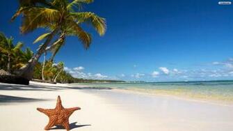 Starfish Wallpaper Photo Desktop