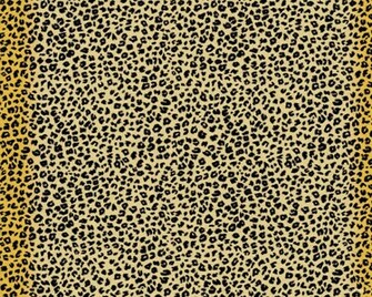 The Cheetah Girls Image Wallpaper Photos