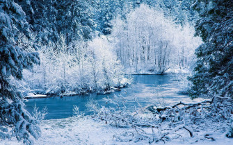 Beautiful Snow Wallpaper