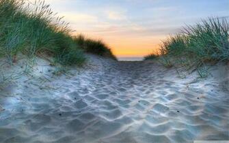 Beach Vegetation 4k HD Desktop Wallpaper For Dual Monitor