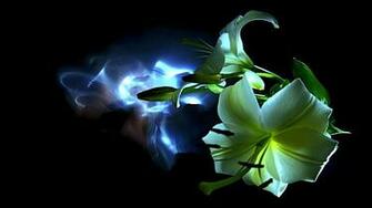 Abstract Neon Flower HD Wallpaper Background Car Tuning