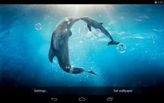 Dolphins Live Wallpaper Beautiful Android That