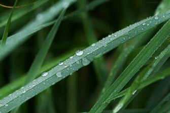 Apple Mac Wallpaper Design Desktops