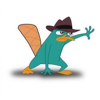 Perry The Platypus Wallpaper