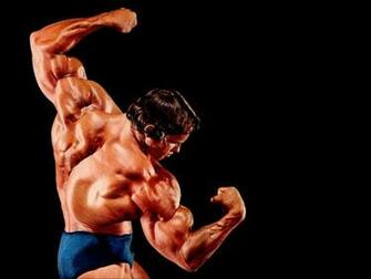 Arnold Schwarzenegger Wallpaper HD Background Fitne