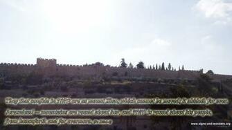 Click On Any Image To Enlarge
