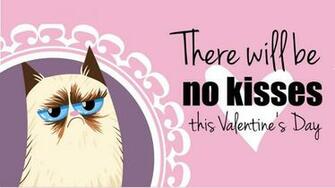 Grumpy Cat Valentine Attitude Cover Photos For