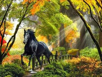 Fall Horse Wallpaper