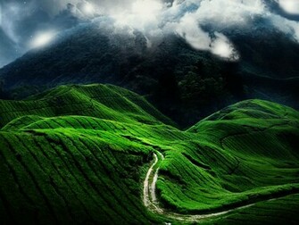 Nature Wallpaper Fantasy Desktop