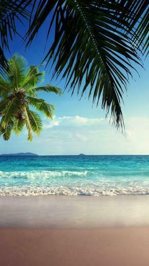 Beach Live Wallpaper Android Apps On Google Play
